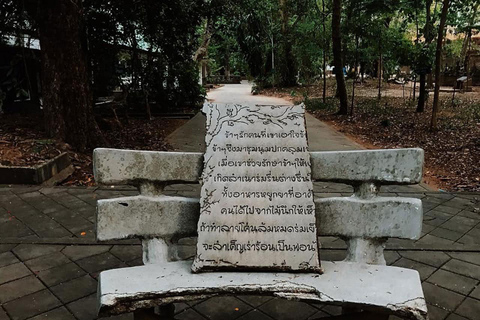 Chiang Mai après le crépuscule : Visite du Doi Suthep et du Wat Umong au crépuscule