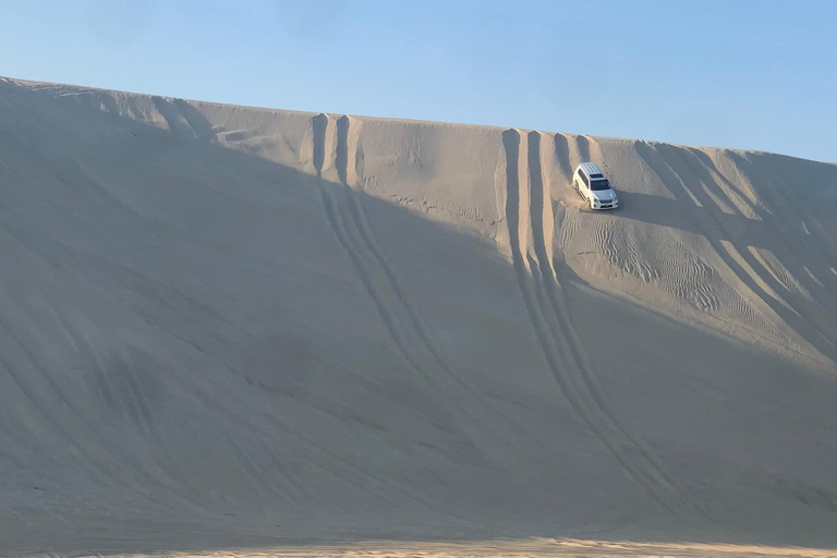 Doha : Safari | Tour en mer intérieure | Balade à dos de chameau | SandboardingDoha : Safari | Balade à dos de chameau | Sandboarding | Visite de la mer intérieure