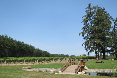 Depuis Vancouver : Visite d'une demi-journée dans la vallée du Fraser pour découvrir les vins