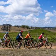 McLaren Vale: Guided Wine Tour by E-Bike