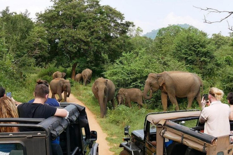 Hurulu Eco Park Jeep Safari & Entrance Ticket Included Without Ticket