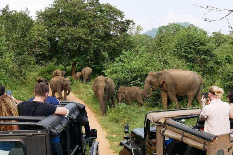 Hurulu Eco Park Jeep Safari & Entrance Ticket Included Without Ticket