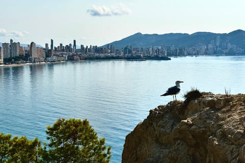 From Benidorm: Costa Blanca Shared Day Trip