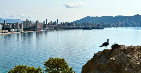 From Benidorm: Costa Blanca Shared Day Trip