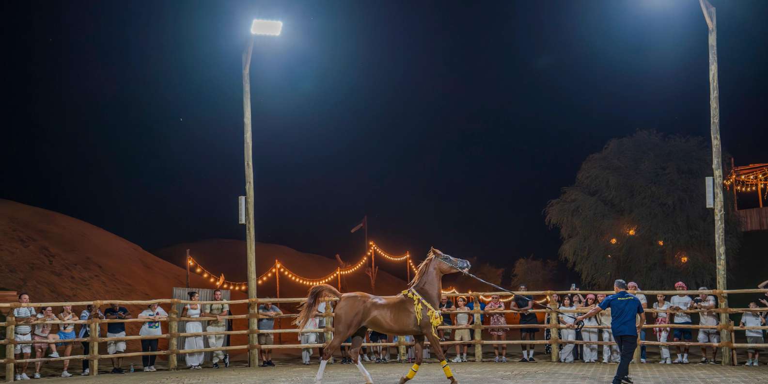Dubai: Overnight Safari, Dinner, Stargazing & Al Khayma Camp — gallery image 28