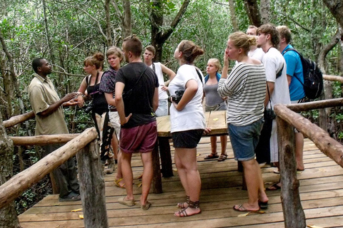 De Zanzibar: Floresta Jozani com observação de golfinhos