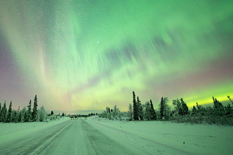 Rovaniemi : Visite en petit groupe pour la photographie de la garantie des aurores boréales