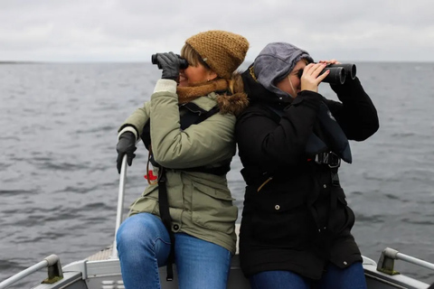 Estonia: Malusi Islands Seal-Watching Boat Trip