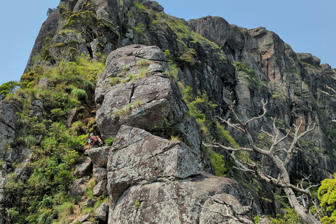 Da Kandy: escursione alle cime gemelle di Kanawiddagala e YahangalaDa Kandy: escursione alle due cime gemelle di Kanawiddagala e Yahangala