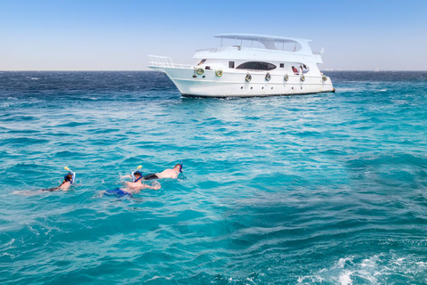 Marsa Alam: Dolphin House Adventure at Shaab Samadai Reef