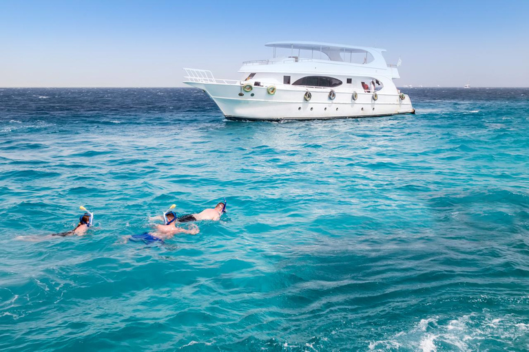 Marsa Alam: Dolphin House Adventure at Shaab Samadai Reef