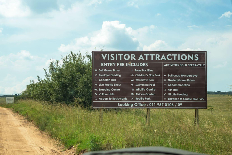 Johannesburg: Rhino and Lion Nature Reserve Half-Day Tour Private Tour Rate
