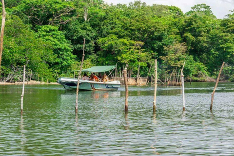 Z Kolombo/Negombo - jednodniowa wycieczka do fortu Galle i plaży Bentota