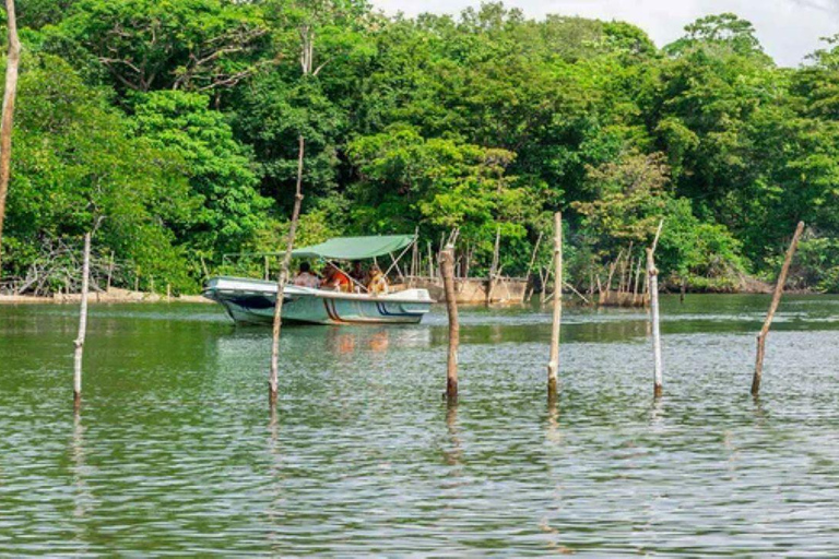 Z Kolombo/Negombo - jednodniowa wycieczka do fortu Galle i plaży Bentota