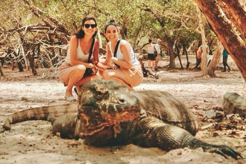Bali: Komodo Island One Day Trip with Flights and Snorkeling