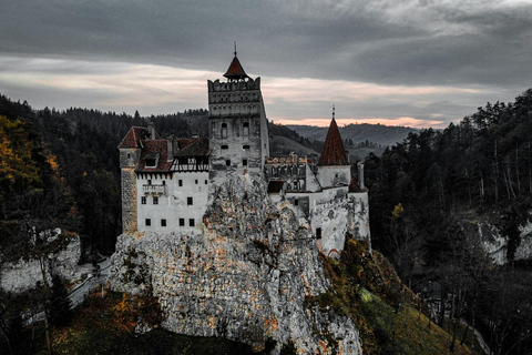 Boekarest: Kasteel van Dracula, 'Woensdag'-kasteel en BrasovMinibusreis
