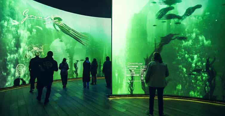 Singapore: Harry Potter Visions of Magic at Sentosa Ticket photo 10