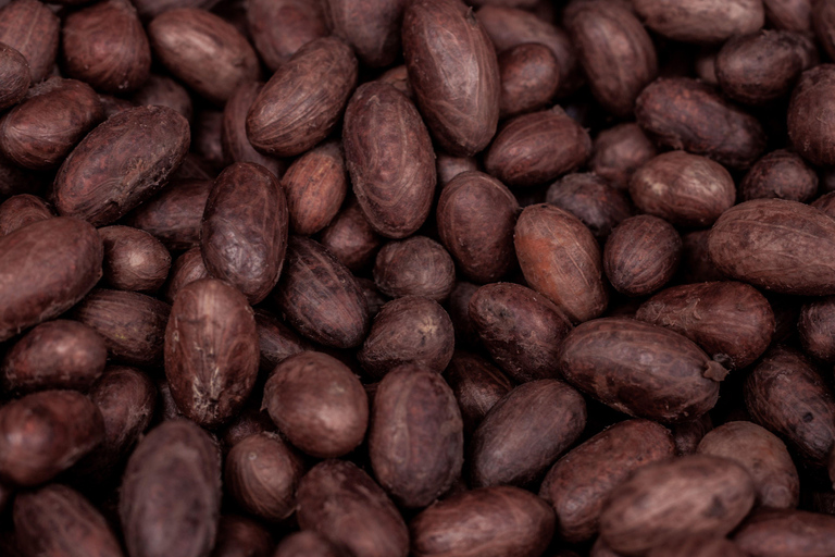 Puerto Maldonado: Amazonian Cacao Experience with Boat Ride