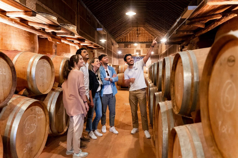 From Toledo: Guided Walking Tour, Winery Visit and Tasting Only Winery Visit - Spanish Guide