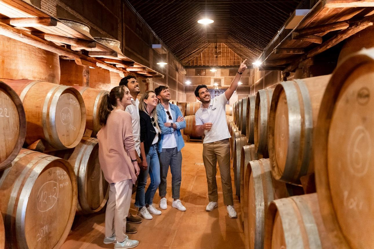From Toledo: Guided Walking Tour, Winery Visit and Tasting Only Winery Visit - Spanish Guide
