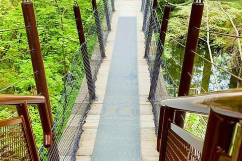 Vancouver Capilano Canyon light&amp;peak di Natale a Grouse