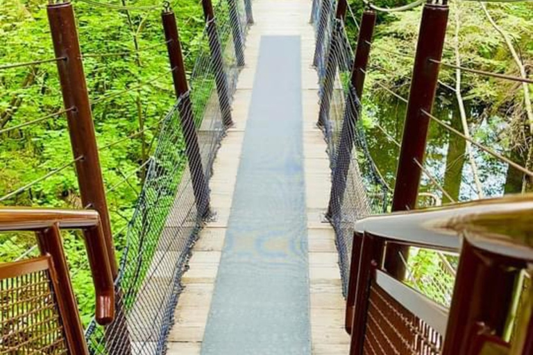 Vancouver Capilano Canyon light&amp;peak di Natale a Grouse