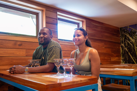 Ocho Rios: Catamaran Sail & Snorkel + Dunn's River Climb