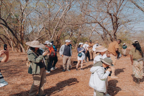 Zambezi-Wildwasser-Rafting &amp; White Rhino Walking Safari Combo