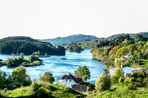 De Bergen : croisière dans le fjord jusqu'aux spectaculaires ruisseaux d'Alversund