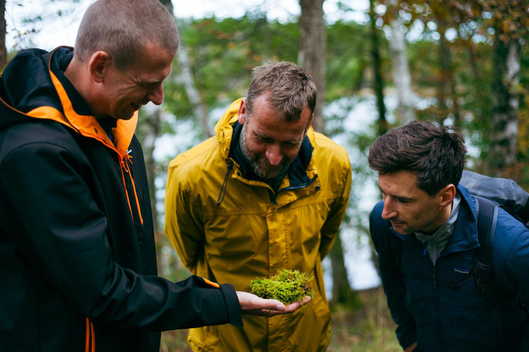 Stockholm: Vandring, utomhusmatlagning och kallvattenflytningPickup from Stockholm - drop-off Vaxholm