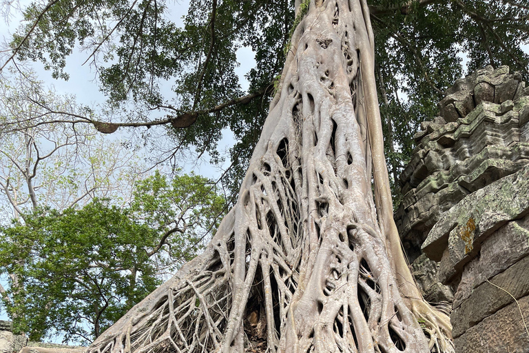 Siem Reap: Angkor Wat Private Ganztagestour