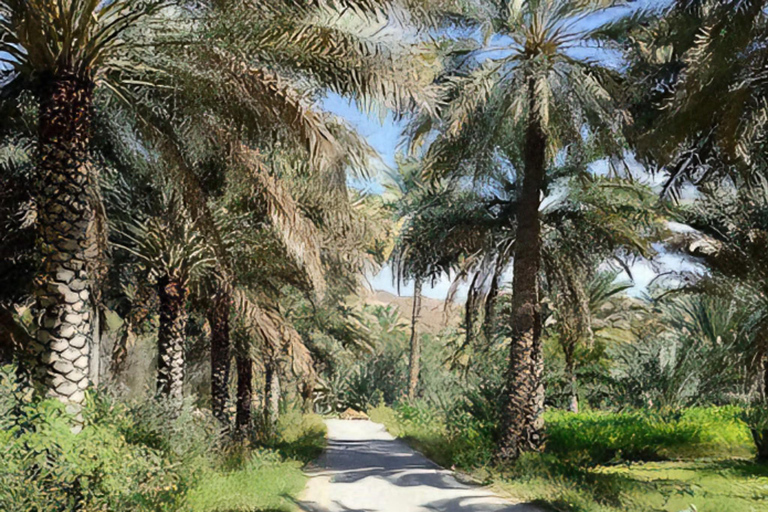 Wadi Dayqah/Wadi Al Arbaeen/Wadi Mayh (excursión de un día) 8 horas