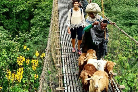 Wenchi Crater Lake Adventure: Fish, Ride & Play with Lunch