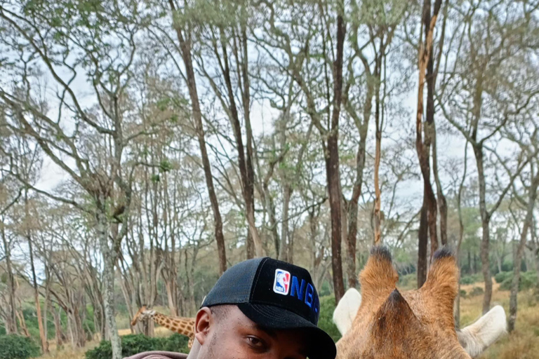 Nairóbi: Parque Nacional, Orfanato de Elefantes e Passeio com Girafas