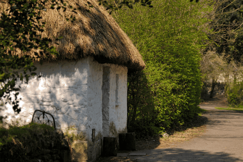 Dublino: Tour di un giorno delle Scogliere di Moher, di Ennis e del Castello di Bunratty