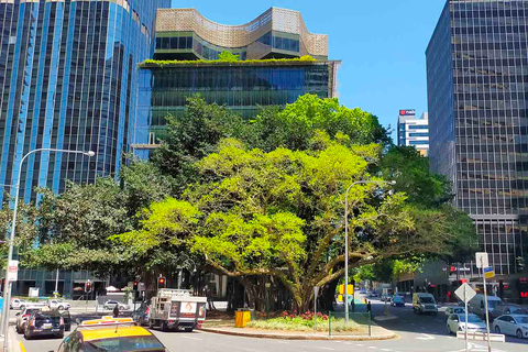 Brisbane: Excursão a pé pelo melhor de Brisbane