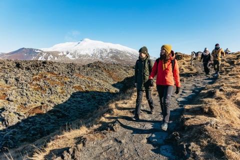Z Reykjavíku: całodniowa wycieczka na półwysep SnæfellsnesWycieczka z odbiorem z wybranych miejsc