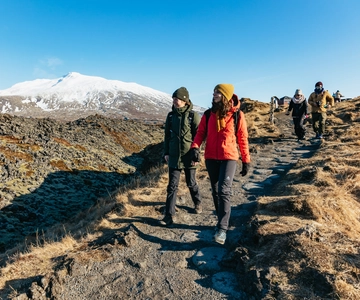 De Reykjavik: Excursão de 1 dia à Península de Snæfellsnes