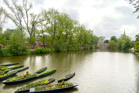 Desde Ámsterdam: Excursión de un día con guía a Bruselas y Brujas