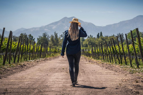 Viña Haras de Pirque Wine Experience