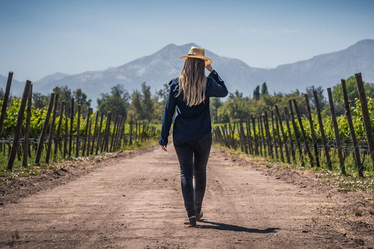 Viña Haras de Pirque Wine Experience