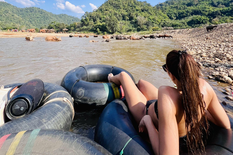 مغامرة شيانغ ماي ليوم كامل: المشي لمسافات طويلة، والتزحلق على الأنابيب، ومشاهدة الفيلةالرحلات، وا