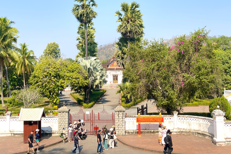 Luang Prabang: Almsgiving Ceremony and Kuang Si Falls Tour Private 1-2 pax