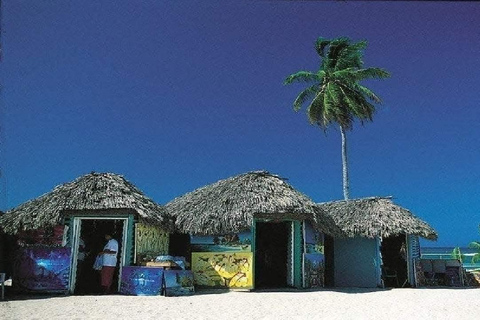 Private: Catalina Island Snorkeling &amp; BBQ Boat Tour