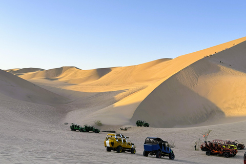From Lima: Ballestas Islands & Huacachina Dune Buggy Tour Paracas & Huacachina: Hotel Pickup & Bilingual Guide