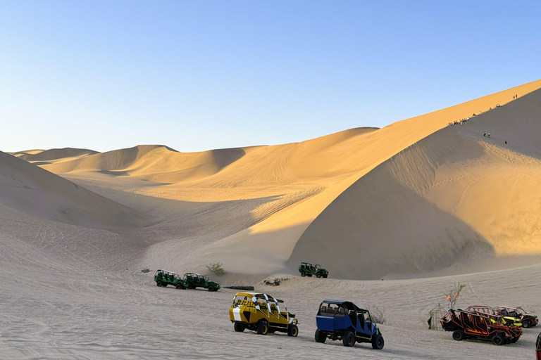 From Lima: Ballestas Islands & Huacachina Dune Buggy Tour Paracas & Huacachina: Hotel Pickup & Bilingual Guide