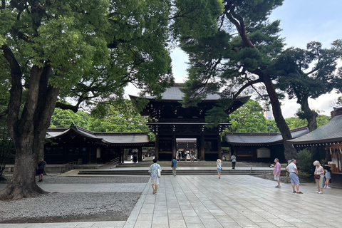 Tokio: Visita matinal con guía de habla inglesaTokio: Excursión matinal