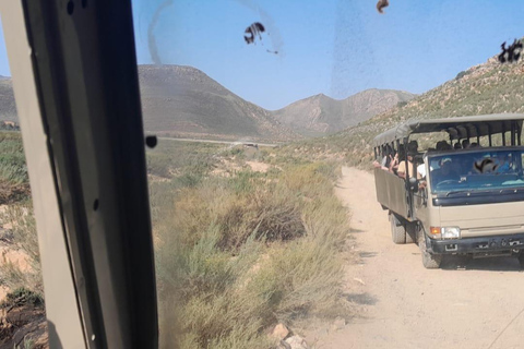 Safari al atardecer en la Reserva de Caza de Aquila con transporte privado