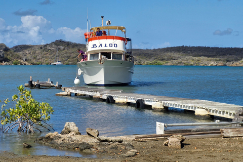 Curacao: Blue Room Cave and Turtles Boat Trip with Pizza