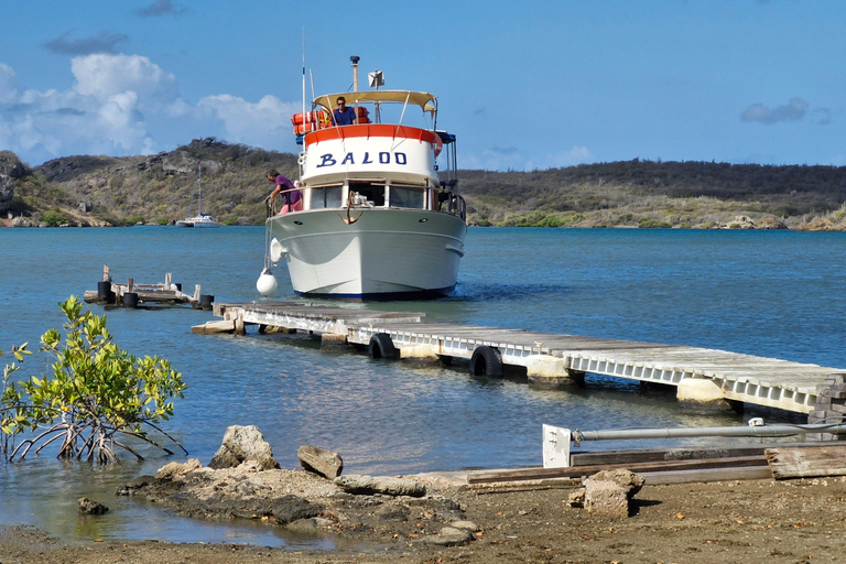 Curacao: Blue Room Cave and Turtles Boat Trip with Pizza